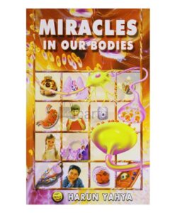 Miracles in our Bodies