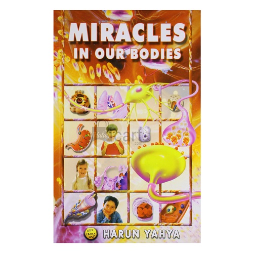 Miracles in our Bodies