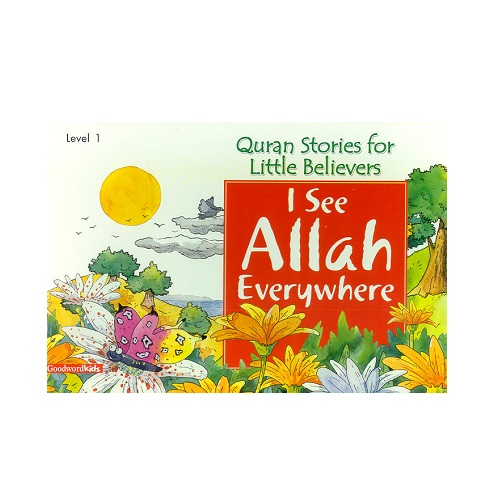 I See Allah Everywhere By Saniyasnain Khan
