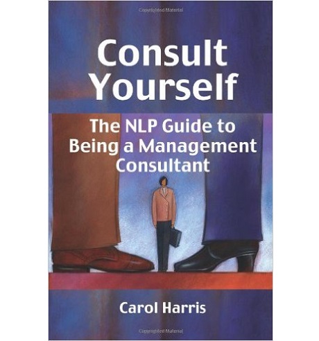 Consult Yourself: The Nlp Guide to Being a Management Consultant