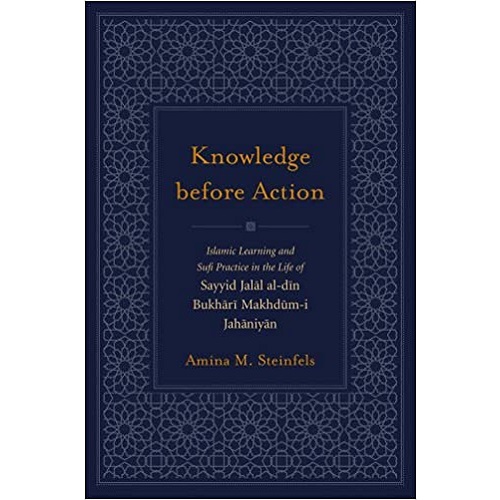 Knowledge Before Action by Amina M. Steinfels