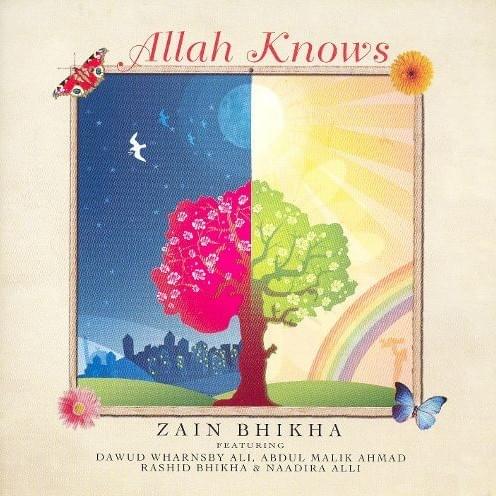 Allah Knows By Zain Bhikha [CD]