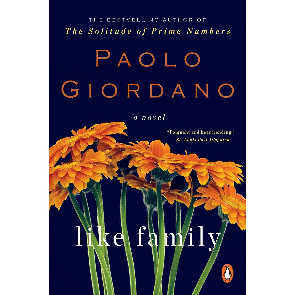 Like Family by Paolo Giordano and Anne Milano Appel (Translation)